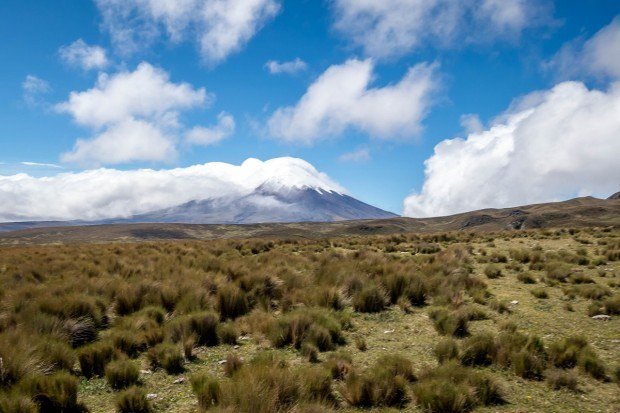 Grassy pain leading up to a volcano