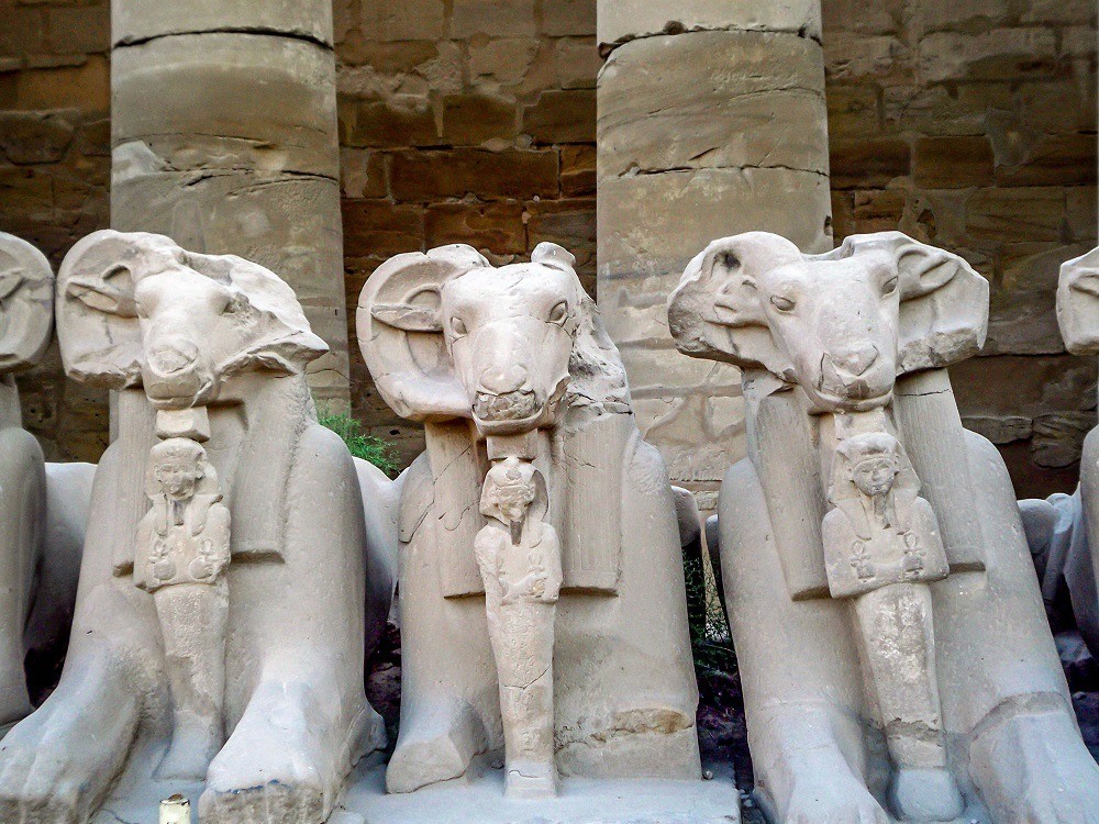 Goat Sphinx statues at Karnak Temple Egypt