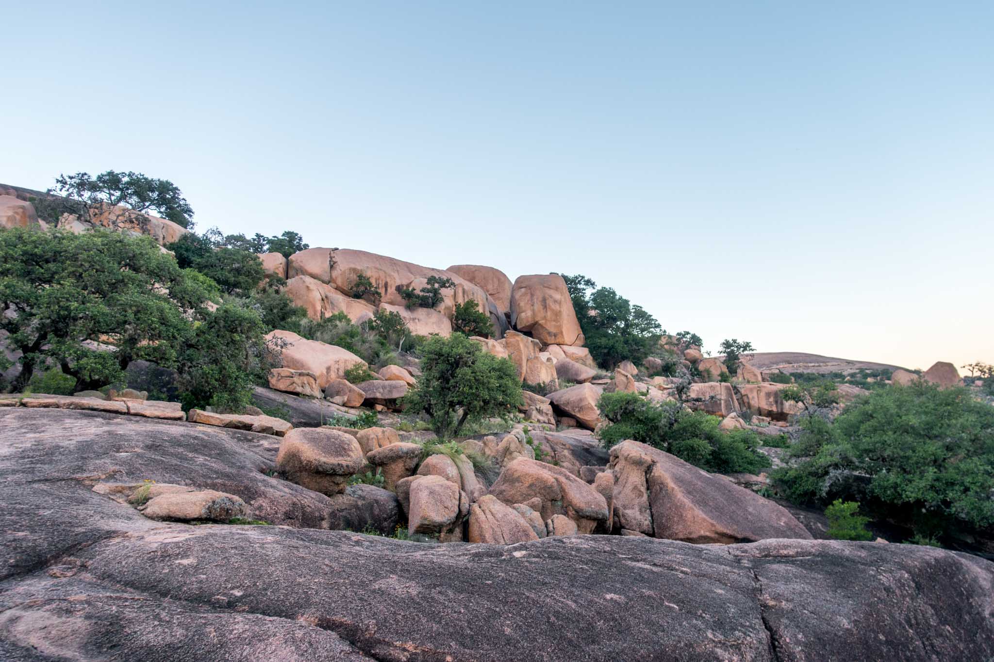 Small trees growing among a rock monolith and boulders.