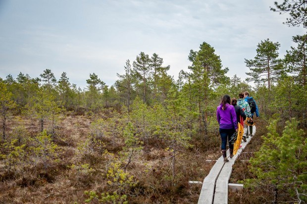 People walking on a platform through a bog