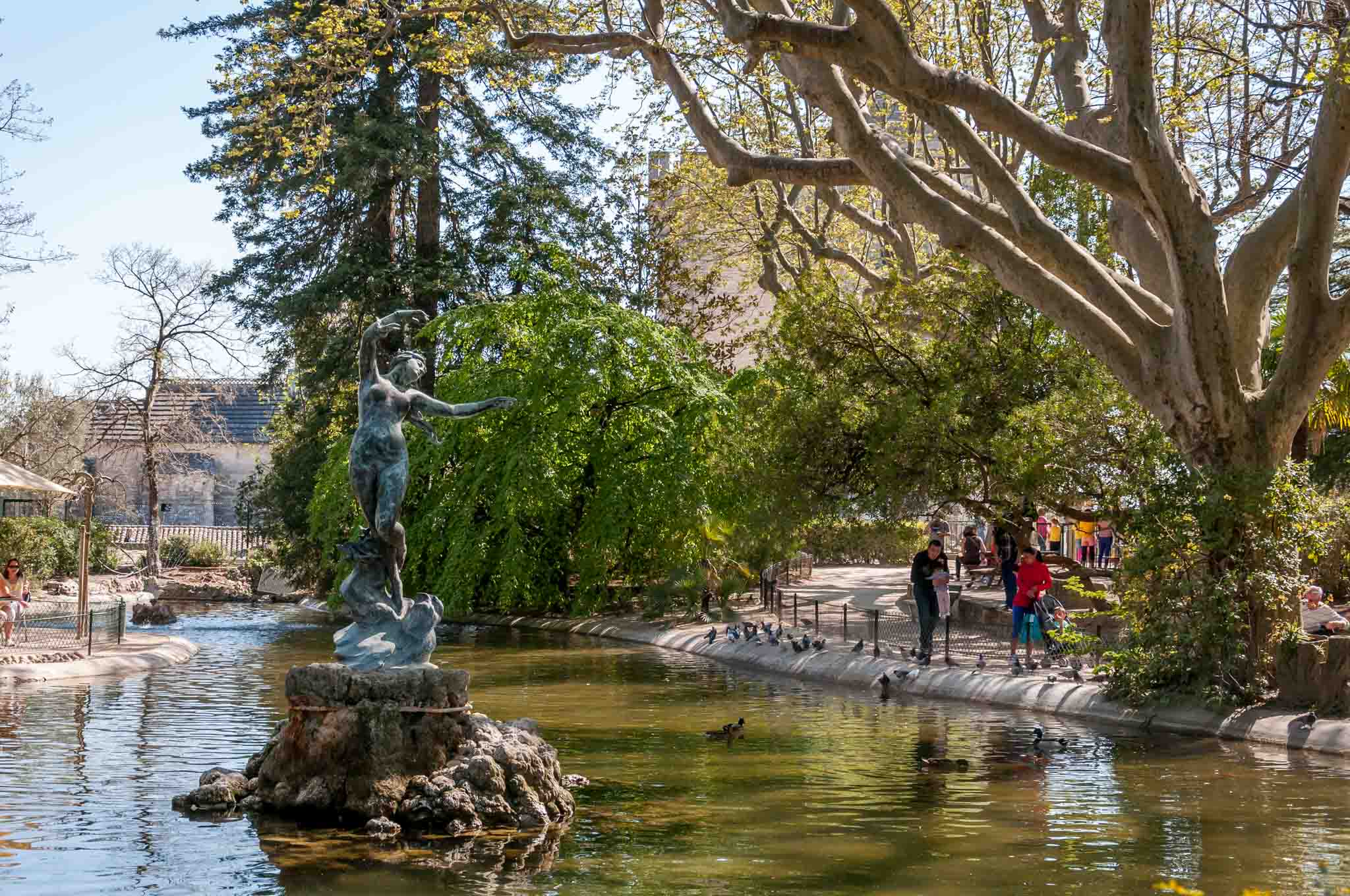 Fountain and pond in a park