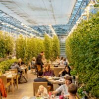 People eating in Fridheimer tomato greenhouse restaurant in Iceland