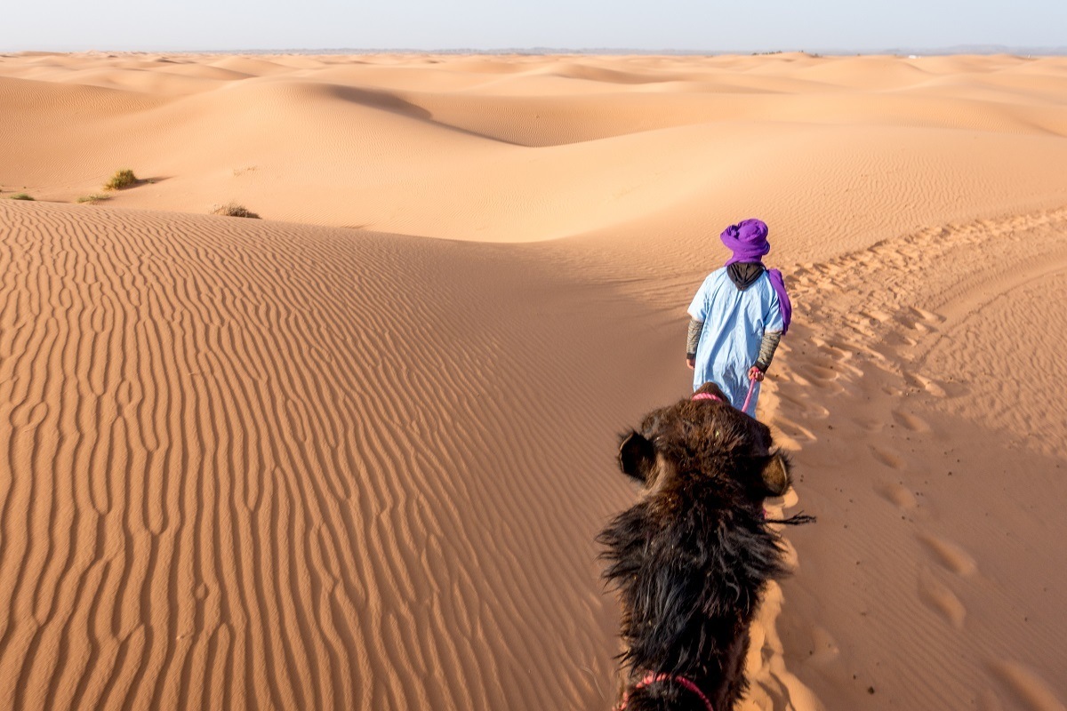 Man leading camel through sand dunes