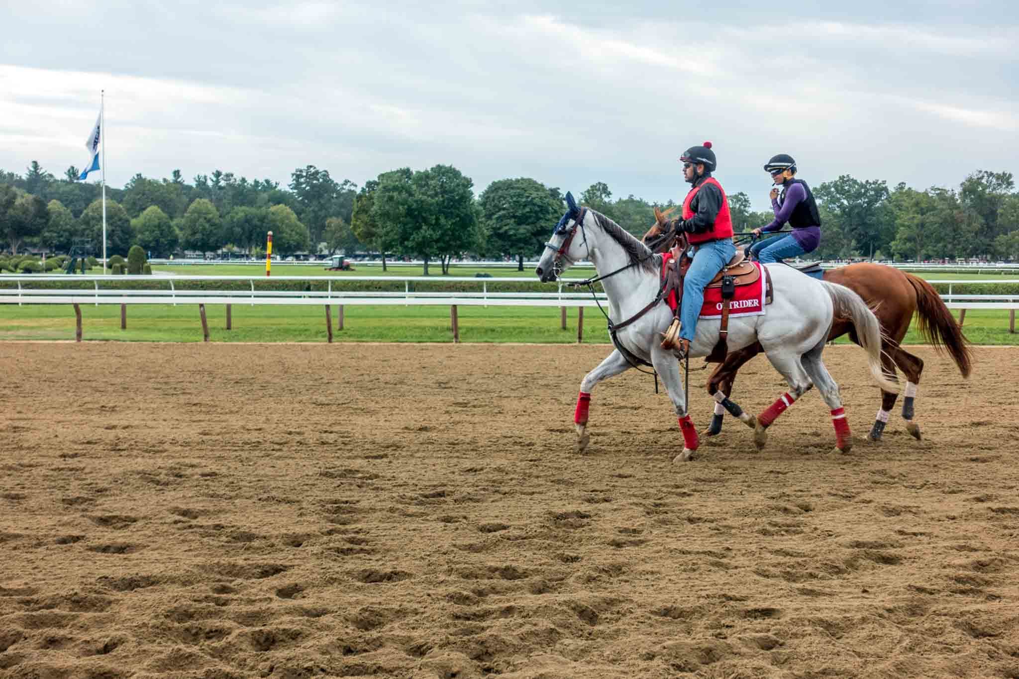 Horses and jockeys warming up at a racetrack