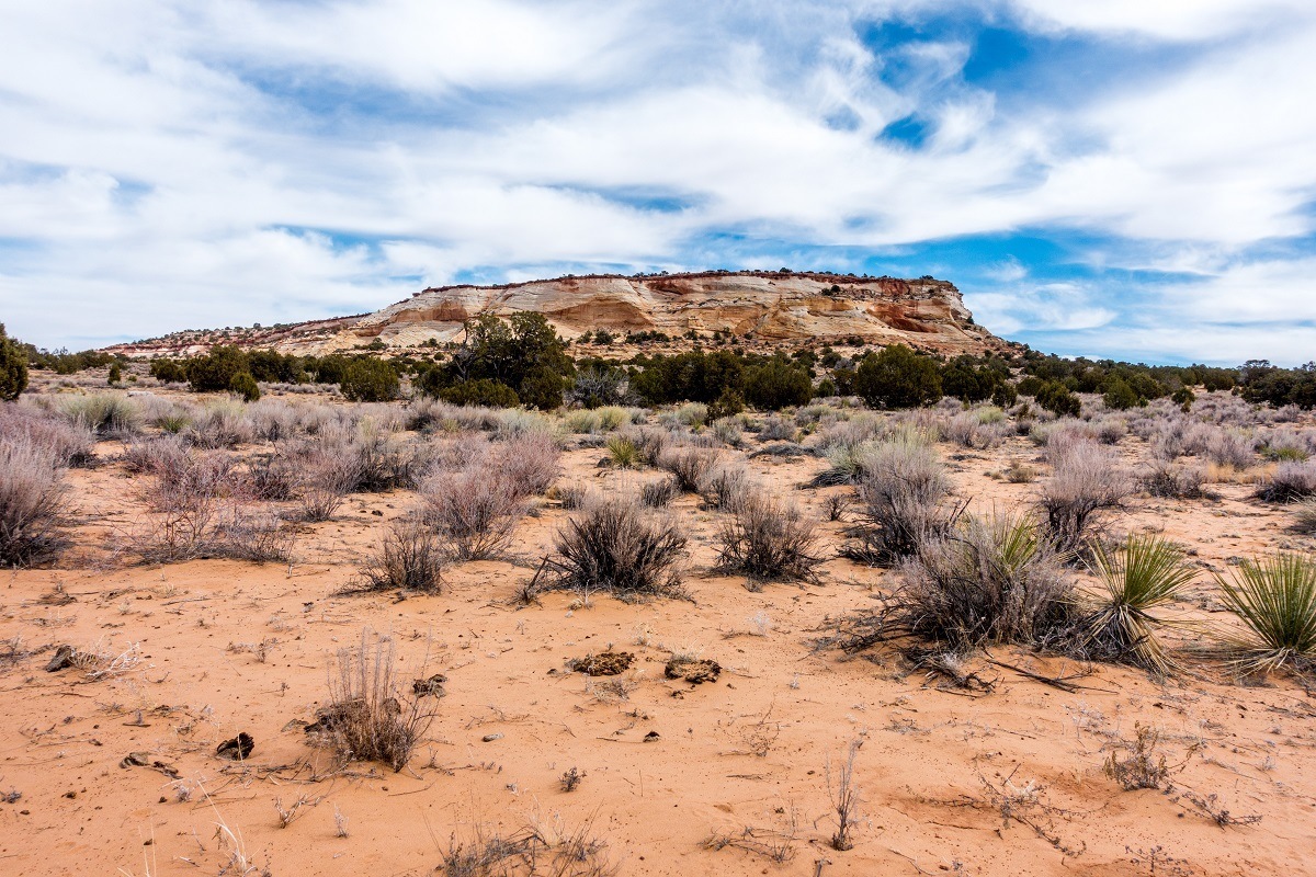 Hiking the Wave in Arizona