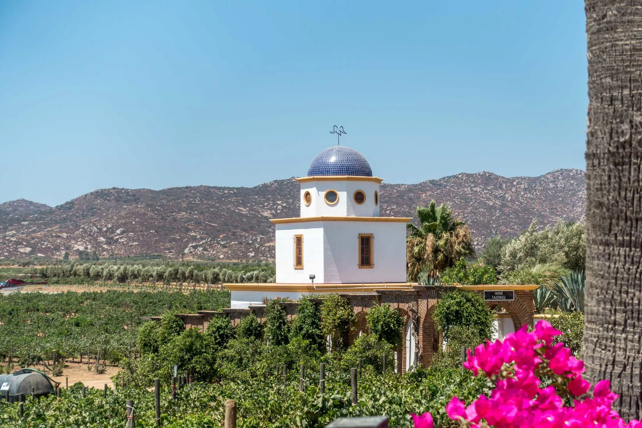 A building in one of the Valle de Guadalupe wineries.