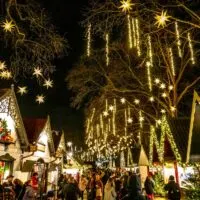 People at the Cologne Christmas market at night with trees full of lights