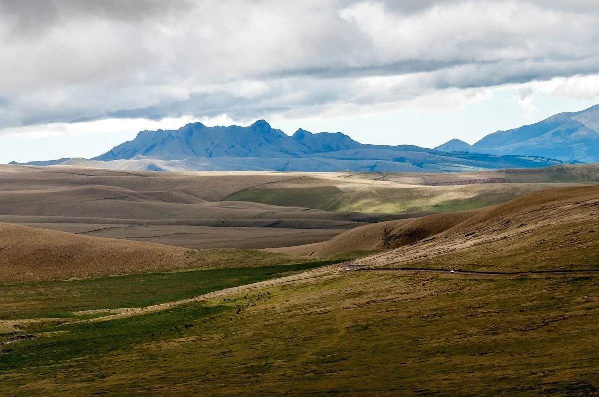 Rolling hills of the Antisana Ecological Reserve in Ecuador