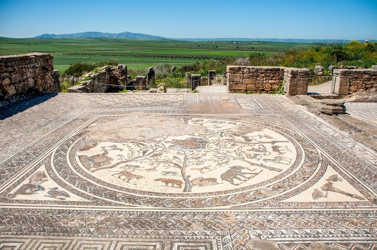 Mosaic at the House of Orpheus featuring Orpheus surrounded by wild animals