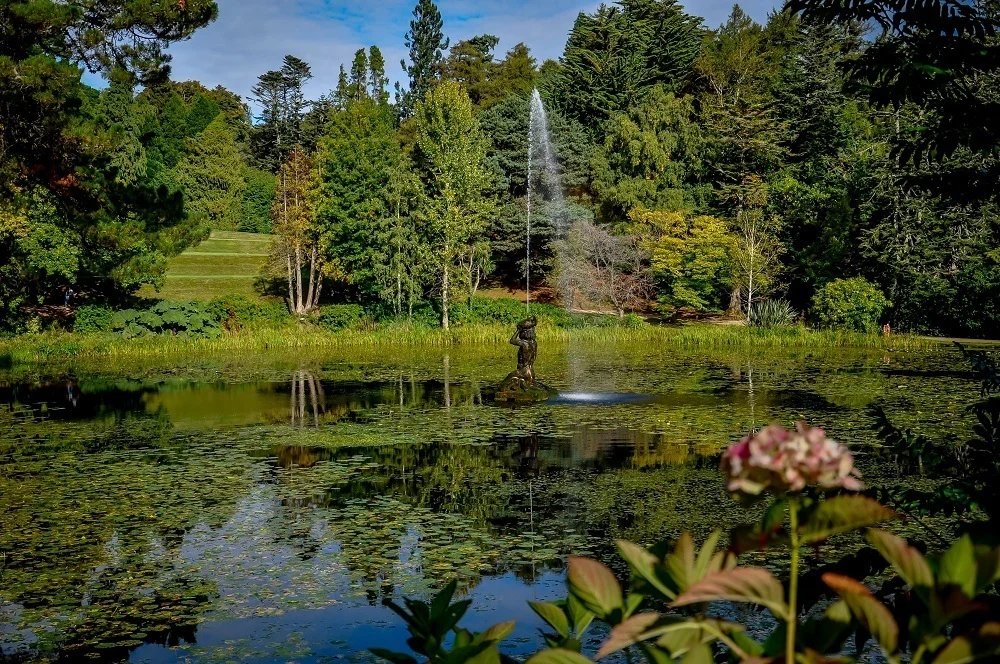 Fountain and pond