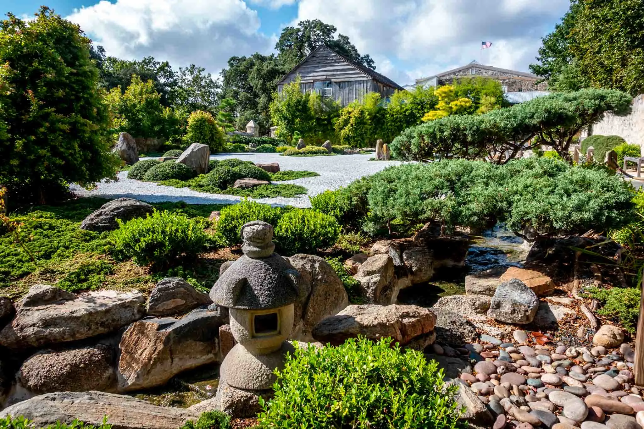 Plants, rocks, and decorations in a Japanese-style garden.