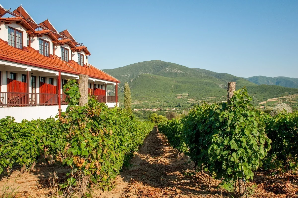 Vineyard and winery building