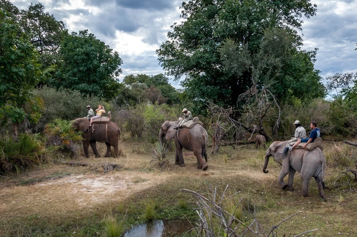 People riding elephants in Africa