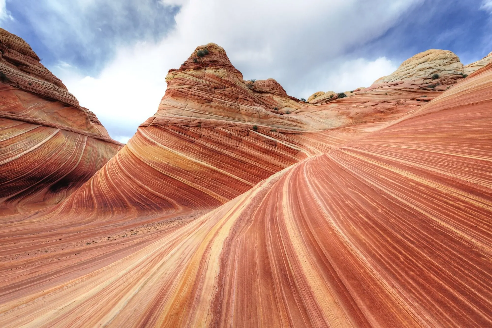 Lines in sandstone rock formation